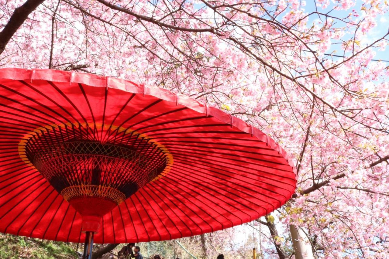 Stay Sakura Kyoto Gion Miyagawacho Eksteriør bilde